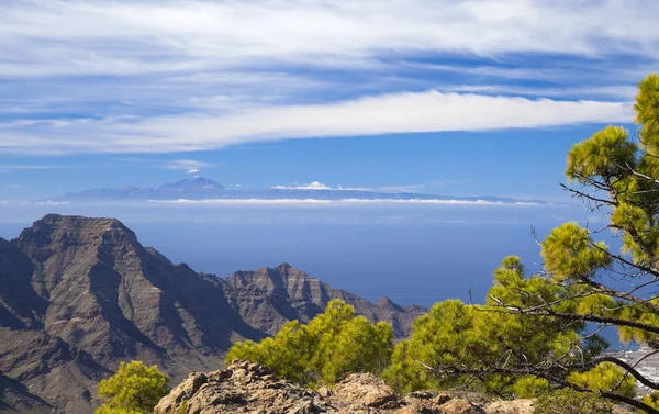 Gran Canaria Listopad 2018 Pohled Přísná Přírodní Rezervace Inagua Towrads — Stock fotografie