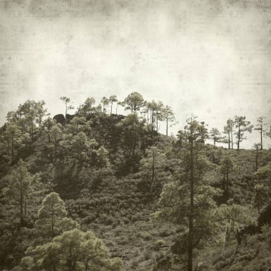 Gran Canaria manzara ile dokulu eski kağıt arka plan 