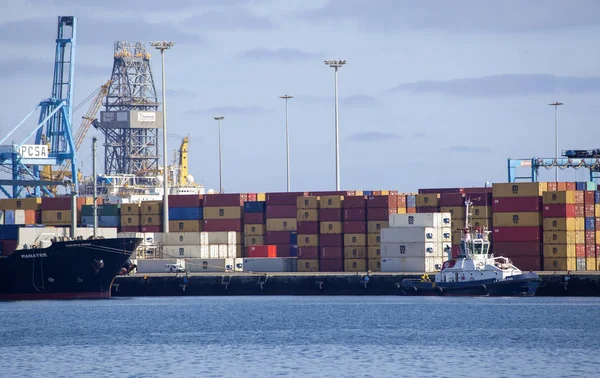 Las Palmas Spanya Kasım Kargo Konteyner Meşgul Kargo Terminal Üzerinde — Stok fotoğraf