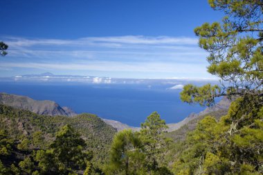 Gran Canaria, Aralık, görüntülemek Doğa Parkı Tamadaba batıdan