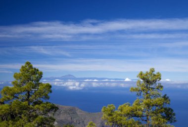 Gran Canaria, Aralık, görüntülemek Doğa Parkı Tamadaba Teide Tenerife doğru batıdan