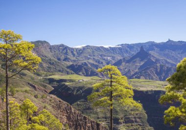 Gran Canaria, Aralık, Caldera de Tejeda manzaralı
