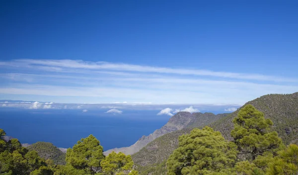 Gran Canaria Dezembro Vista Oeste Natureza Parque Tamadaba — Fotografia de Stock