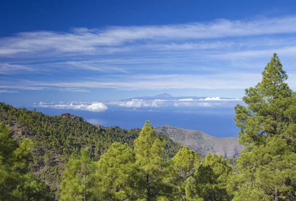 Gran Canaria Prosinci Výhled Západ Přírody Park Tamadaba Směrem Teide — Stock fotografie