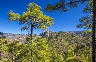 Gran Canaria, Aralık, görüntülemek Inagua sıkı doğa rezerv kayalık fosillerini Morro de Pajonales doğru bir yürüyüş yolundan