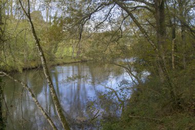 Cantabria, river Nansa, November