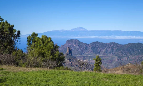 Γκραν Κανάρια Δεκεμβρίου Veiw Όλη Την Καλντέρα Tejeda Προς Teide — Φωτογραφία Αρχείου