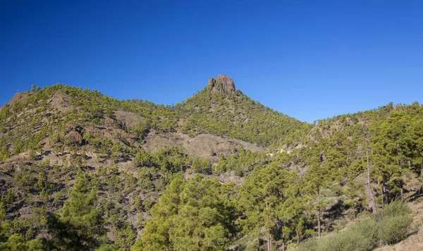 Gran Canaria Dezember Blick Von Einem Wanderweg Strengen Naturreservat Inagua — Stockfoto