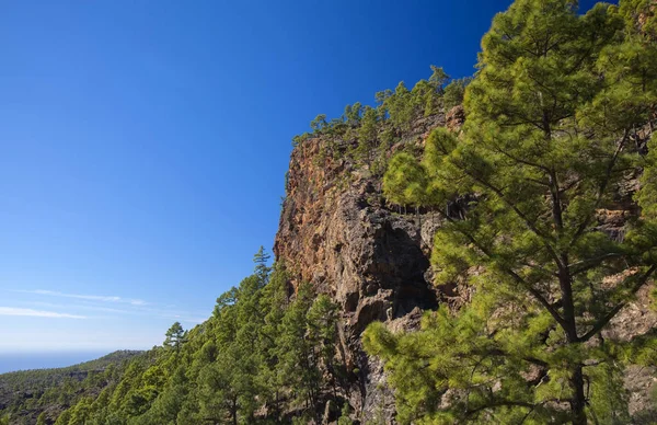 Gran Canaria December Visa Från Vandringsled Inagua Strikta Naturreservat Mot — Stockfoto