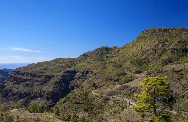 Gran Canaria Diciembre Vista Oeste Desde Una Ruta Senderismo Estricta — Foto de Stock
