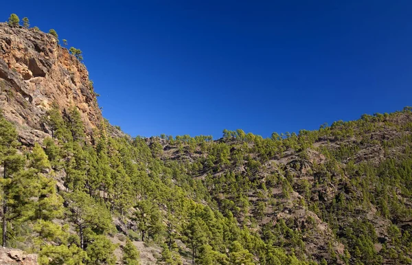 Gran Canaria Décembre Vue Depuis Sentier Randonnée Inagua Réserve Naturelle — Photo