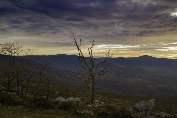 Cantabrie Vue Sentier Randonnée Monte Cilda Lumière Soir — Photo