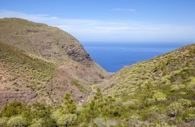 Gran Canaria, Ocak, yürüyüş yolu La Ruta Del Cartero manzaraları, Risco de Agaete ve La Aldea de San Nicolas küçük Vadisi'nde durgun su havuzları arasında postacı yolu