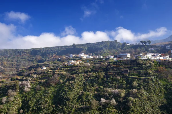 Gran Canaria January View Valley Barranco Las Lagunetas Low Afternoon — Stock Photo, Image