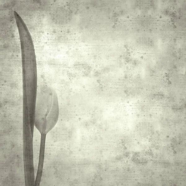 Gestructureerde Stijlvolle Oude Papier Achtergrond Vierkant Met Tulip Bloem — Stockfoto