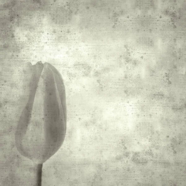 Texturizado Con Estilo Fondo Papel Viejo Cuadrado Con Flor Tulipán —  Fotos de Stock