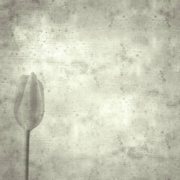 Teksturowanej Stylowe Stary Tło Papieru Kwadratowa Tulip Kwiat — Zdjęcie stockowe