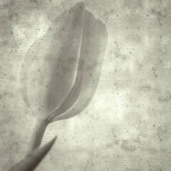 Teksturowanej Stylowe Stary Tło Papieru Kwadratowa Tulip Kwiat — Zdjęcie stockowe