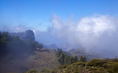Gran Canaria, Las Huelva'daki, adanın Şubat en yüksek alanlarında siste, 