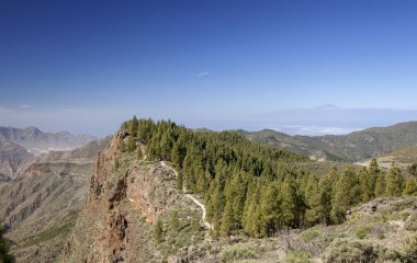 Gran Canaria, Las Huelva'daki, yol Caldera de Tejeda dudağında hiking boyunca ada, Şubat, sayısı en yüksek alanlarında