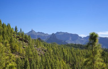 Gran Canaria, Şubat, ağaçların, üzerinden Caldera de Tejeda arasında görünüm kaya oluşumları Roque Bentayga ve Roque Nublo görünür her ikisi de