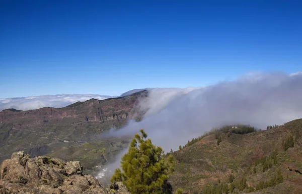 Gran Canaria Las Cumbres Áreas Mais Altas Ilha Fevereiro Nuvens — Fotografia de Stock