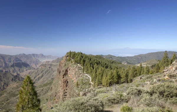 Gran Canaria Las Huelva Daki Yol Caldera Tejeda Dudağında Hiking — Stok fotoğraf