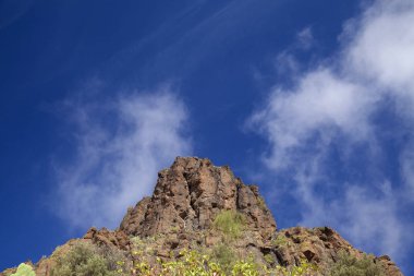 Gran Canaria, Şubat