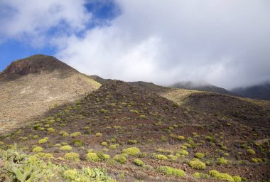 Gran Canaria, Şubat