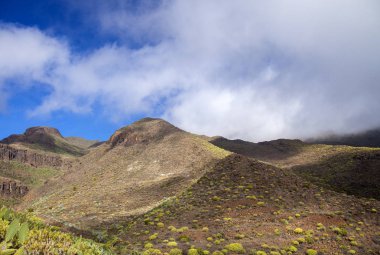 Gran Canaria, Şubat