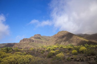 Gran Canaria, Şubat