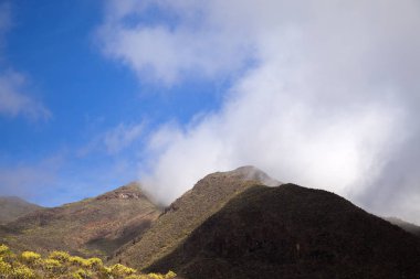 Gran Canaria, Şubat