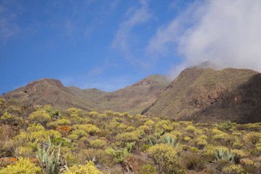 Gran Canaria, Şubat
