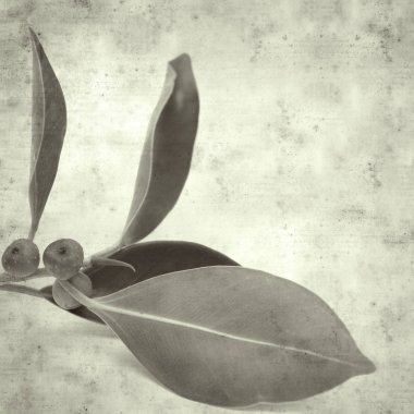  Eski kağıt arkaplan