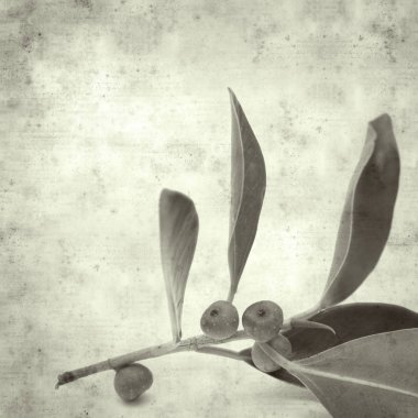  Eski kağıt arkaplan