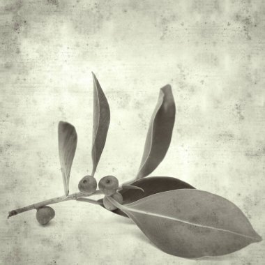  Eski kağıt arkaplan