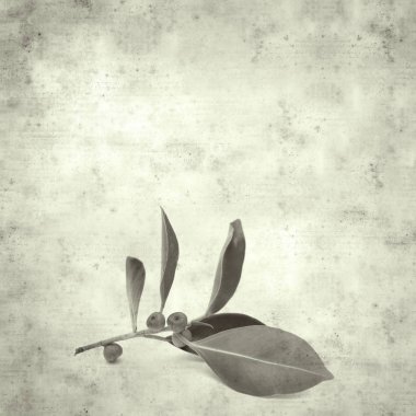  Eski kağıt arkaplan