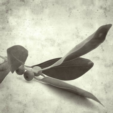  Eski kağıt arkaplan