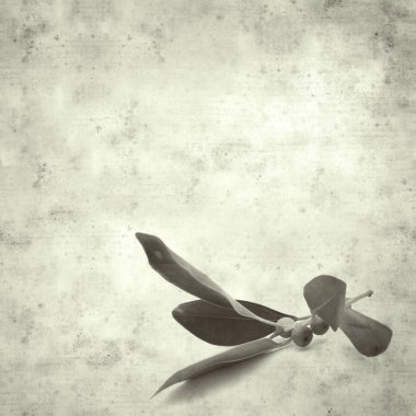  Eski kağıt arkaplan