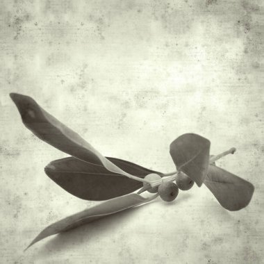  Eski kağıt arkaplan