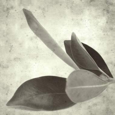  Eski kağıt arkaplan