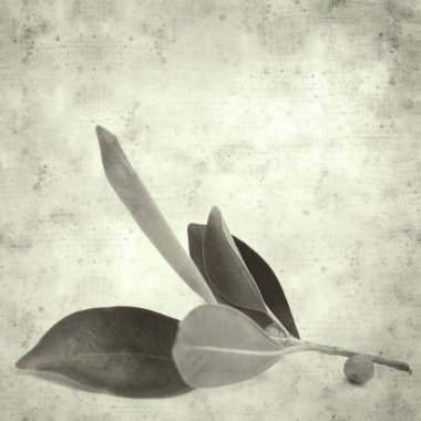  Eski kağıt arkaplan