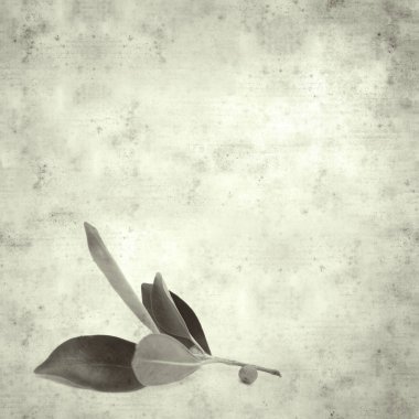  Eski kağıt arkaplan