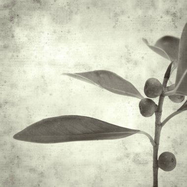  Eski kağıt arkaplan