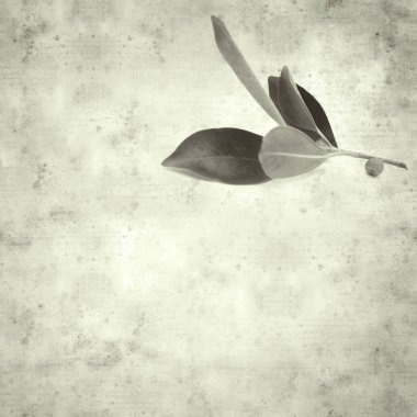  Eski kağıt arkaplan