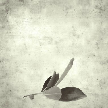  Eski kağıt arkaplan