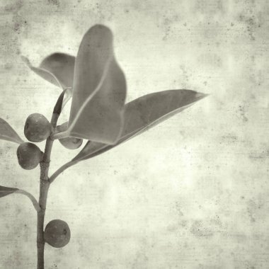  Eski kağıt arkaplan