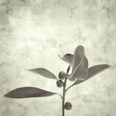  Eski kağıt arkaplan