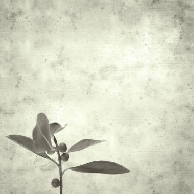  Eski kağıt arkaplan