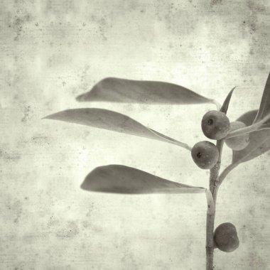  Eski kağıt arkaplan